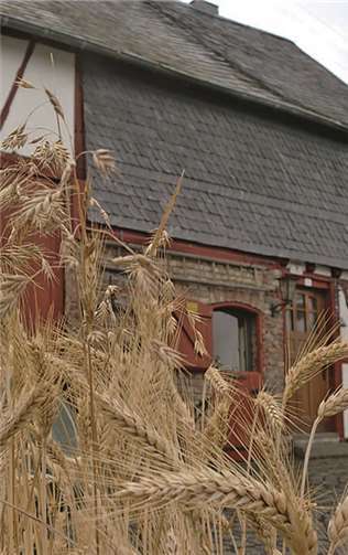 Wie viel Arbeit vom Korn bis zum Brot nötig ist, wird im Heimatmuseum gezeigt.  Privat