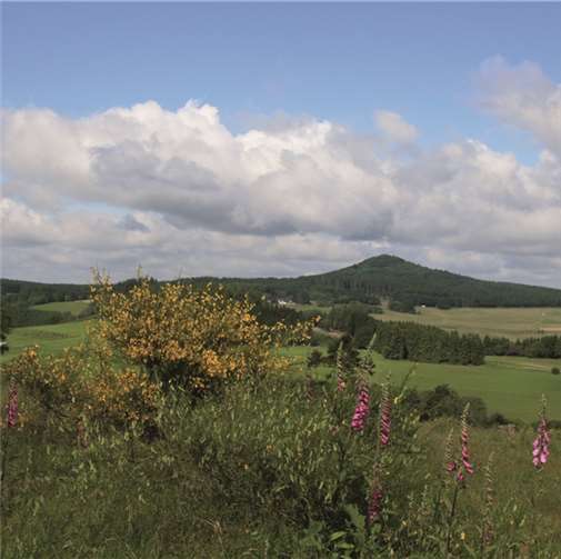 Wie zauberhaft doch die Natur der Eifel ist! „Sammlung Keiffenheim“