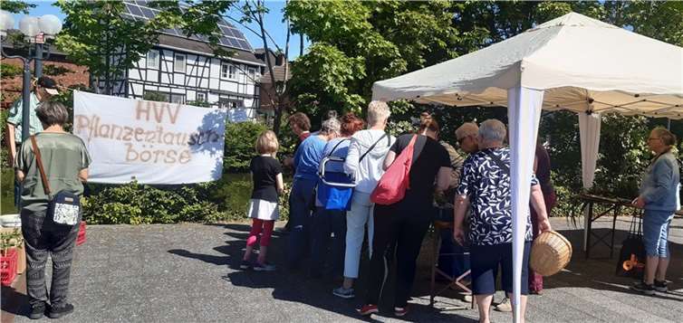 Wieder einmal war das Interesse groß, auch aus verschiedenen Orten im Umkreis kamen die Hobbygärtner mit teilweise selbst gezogenen Setzlingen. Foto: privat