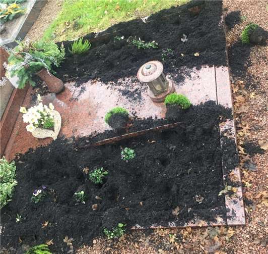 Wildschweine zerstörten fast 20 Gräber auf dem Friedhof in Nievern. Fotos: OG Nievern