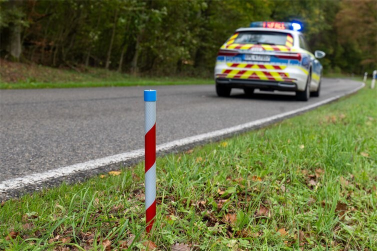Wildunfallzeichen im Einsatz