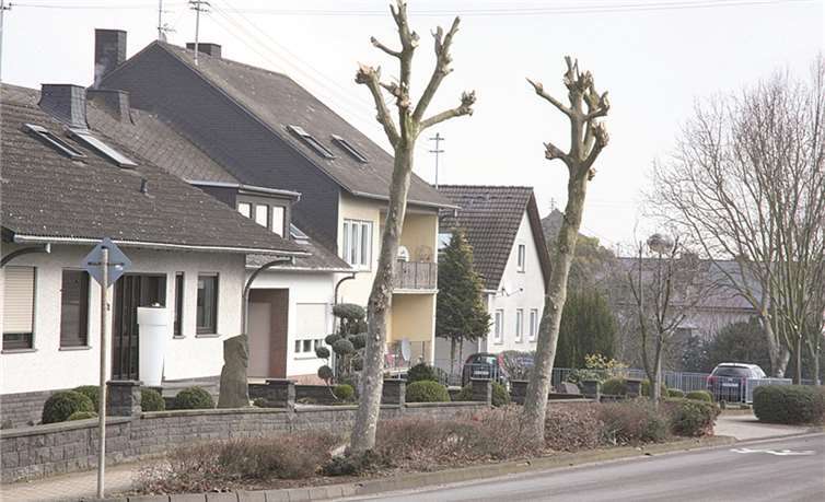 Wilfried Eckert