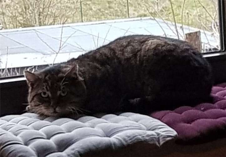 Willibald möchte einen ruhigen Lebensabend verbringen.  privat