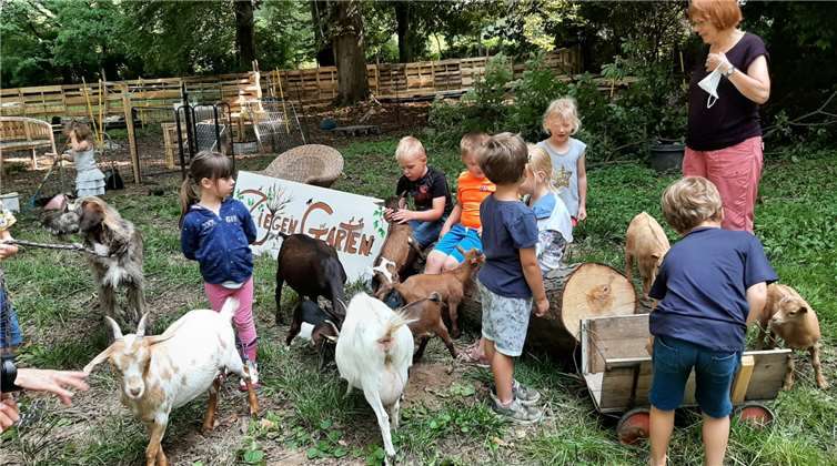 Willkommen durch die Kindergarten-Kinder und Sibylle Meyer von Gemeinsam für Vielfalt e.V. Fotos: privat