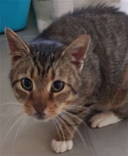 Willy sucht ein neues Zuhause. privat