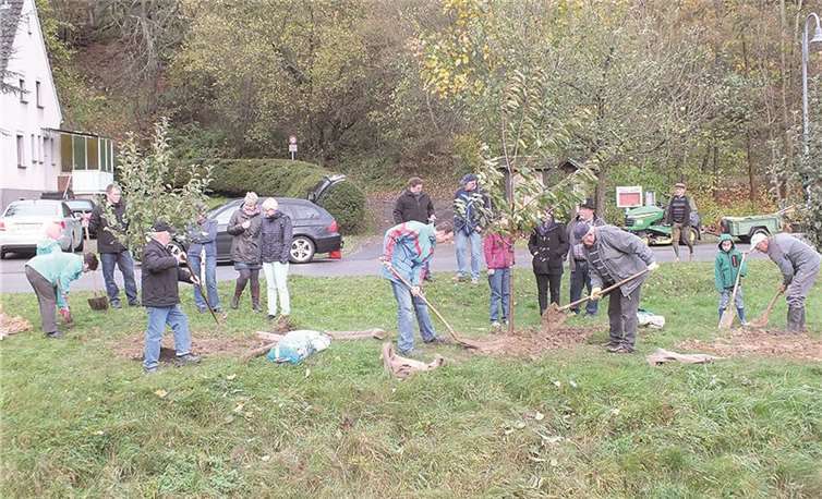 Wimbach Die drei vor kurzem eingeschulten Kinder der Ortsgemeinde Wimbach erhielten von ihrem Dorf jeder ein Obstbäumchen. Die Kinder übernehmen nun die „Patenschaft“ für ihr Bäumchen; sie sollen es hegen und pflegen und mit ihren Obstbäumchen aufwachsen. Am Samstag, den 2.November 2013 fand die diesjährige Pflanzaktion statt. Gemeinsam mit Eltern, Großeltern oder Paten wurden die Patenbäumchen gepflanzt. Johanna Klüppel, Felix Müller und Lea Thelen erhielten aus der Hand des Ortsbürgermeisters ihr Namensschildchen, dass dann an der Halterung der Bäumchen angebracht wurde. Im Laufe der Zeit soll die Wiese am Ortseingang von Wimbach mit Patenbäumchen der jeweiligen Erstklässler gefüllt werden.Ortsgemeinde Wimbach