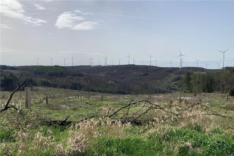 Windkraftanlagen am Hartenfelser Kopf. Fotos: Jonathan Noll