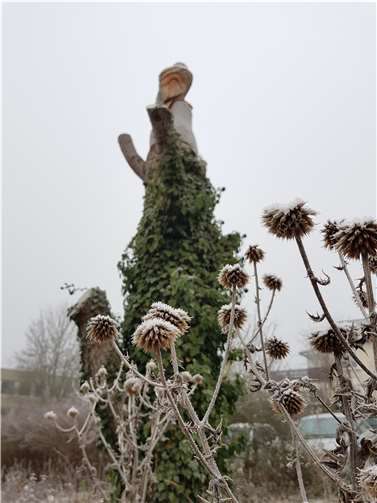 Winterstimmung im Schaugarten.Foto:privat