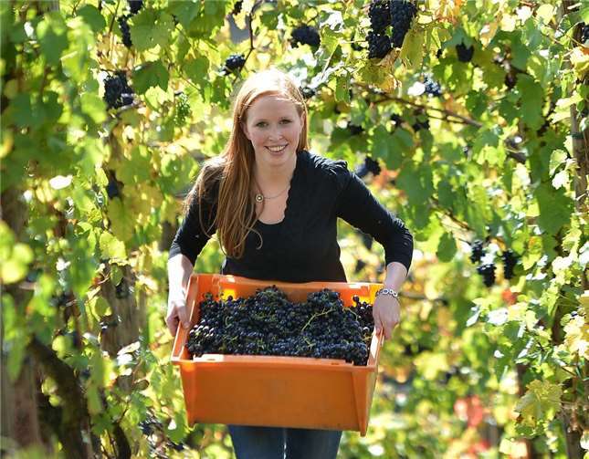 Gesprächskreis geht in die zweite Jahreshälfte  Winzerin Julia Bertram stellt am 19. August das Thema „Permakultur im Weinberg“ vor.  Foto: Deutsches Weininstitut