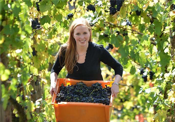 Winzerin Julia Bertram stellt das Thema „Permakultur im Weinberg“ vor.  Foto: Deutsches Weininstitut