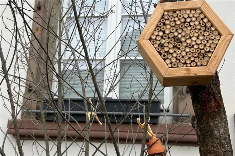 „Wir bauen ein Insektenhotel“ heißt es am 24. Mai in der Grünen Entdeckerlounge auf dem Kirchplatz.Foto: Stadt Bendorf