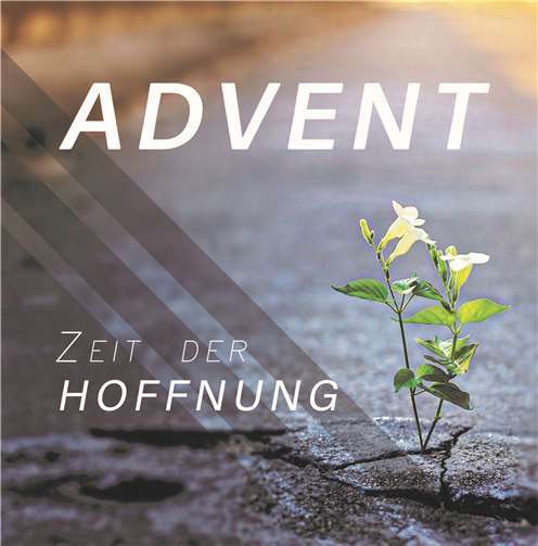 „Wir brauchen eine lebendige Hoffnung, die sich auch angesichts unserer Weltlage nicht beirren lässt“: Mehr über dieses Thema und seine Verbindung zum beliebtesten Fest in Deutschland erfährt man auf der Advents-CD der Mennoniten-Brüdergemeinde in Urbach. Foto: privat