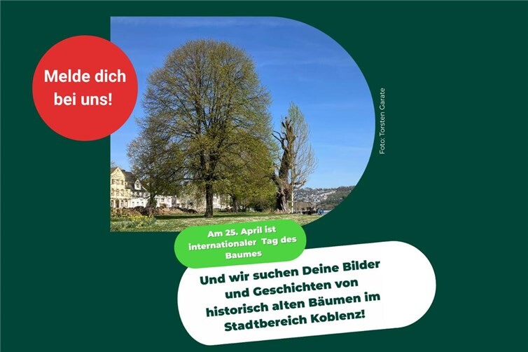 Wir suchen nach Bildern von dir!