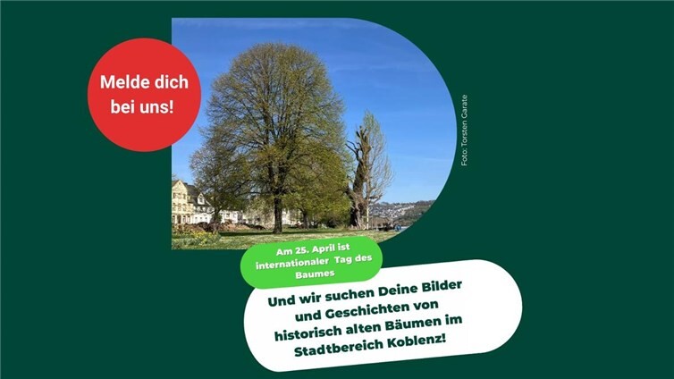 Wir suchen nach Bildern von dir!