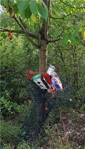 Wird der Müll dann auch noch in den Verbissschutz eines Baumes ein geflochten, bereitet das zusätzlichen Verdruss.