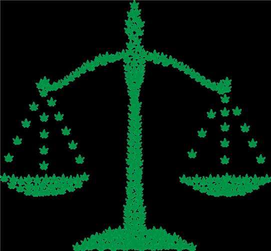 Wird sich die Rechtslage zu Cannabis in der nahen Zukunft verändern? Foto: pixabay.de © Gordon Johnson CCO Public Domain