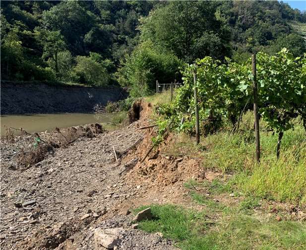 Wirtschaftsweg in Mayschoß.  Foto: privat