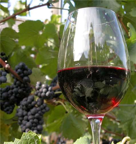 Wissenschaft, Gesundheit, Humor und der Wein sind das Motto des Vortrags am 17. April.privat