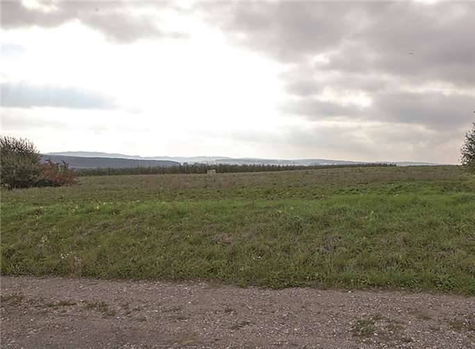 Wo derzeit noch Felder und Obstplantagen sind, soll schon im kommenden Jahr das neue Logistikzentrum des Süßwarenherstellers Haribo entstehen. Der Grafschafter Gemeinderat gab den Startschuss für den Bebauungsplan der Bauabschnitte fünf und sechs des Innovationspark Rheinland bei Ringen. VJ