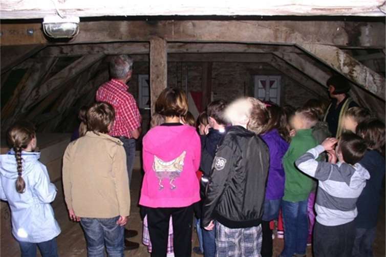 Wo ist die Fledermaus? Foto: Konrad Biewald 2011 