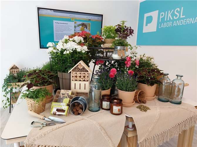 Wo sonst Computer stehen, erblühte am „First Friday“ eine wahre Pracht an Blumen und essbaren Kräutern im PIKSL Labor Andernach. Foto: