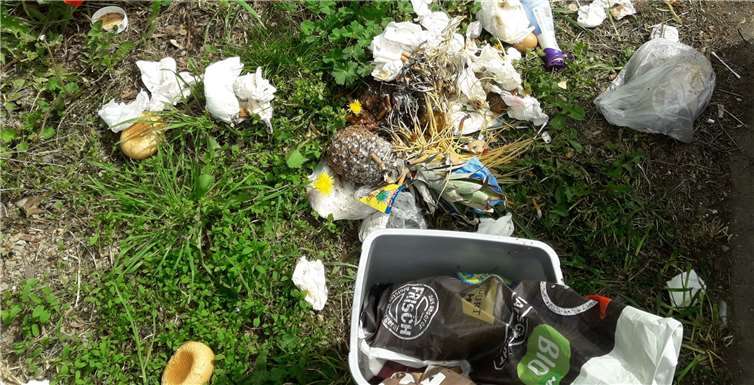 Woche für Woche tummelt sich allerhand Müll rund um die Glascontainer. Foto:OG Plaidt