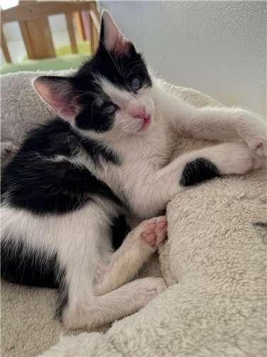 Wonder. Fotos: privat