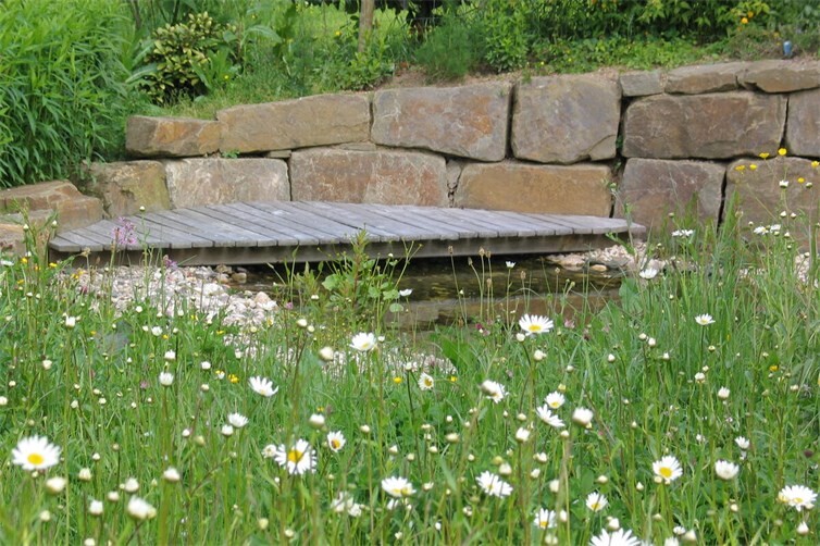 Workshop „Anpassungen an den Klimawandel im naturnahen Garten“