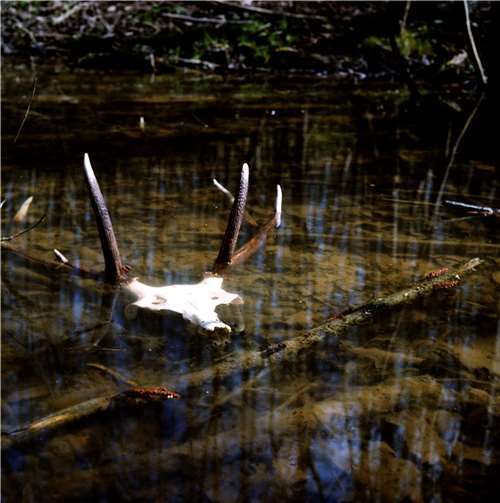 Workshop „Die magische Geschichte der Jagd“ am 2. März. Foto: Marie Sjøvold