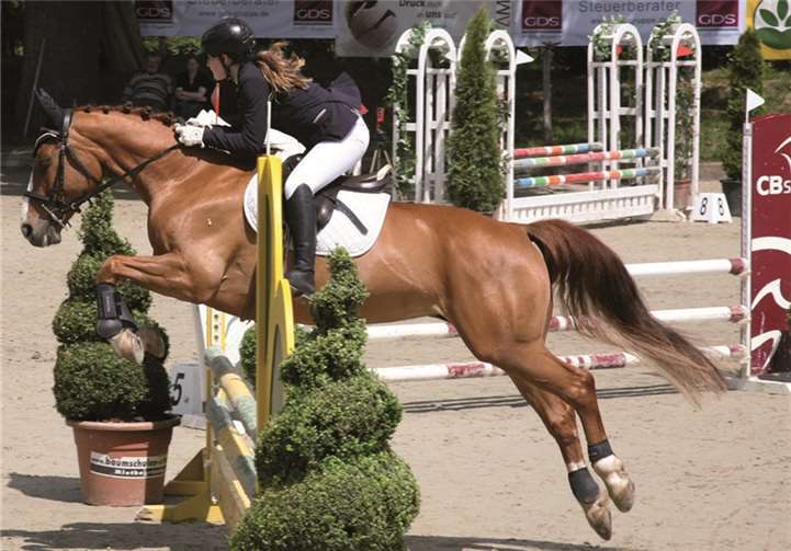 Wunderbaren Reitsport zeigte auch diese Nachwuchsreiterin auf der Burg Münchhausen am vergangenen Sonntag. StF
