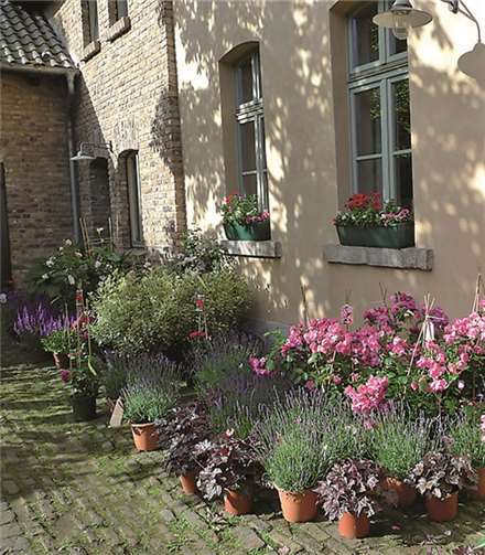 Wunderschöne Rosen präsentiert der Sägerhof auf seinem Rosenmarkt. Privat