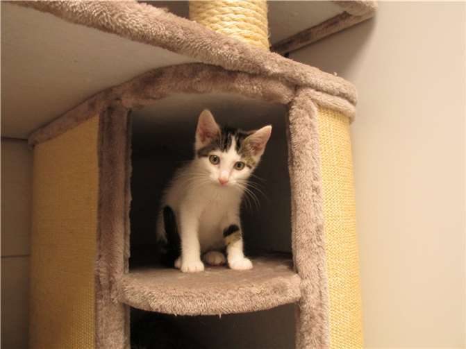 Wurm. Foto: Katzenhilfe Westerwald e. V.