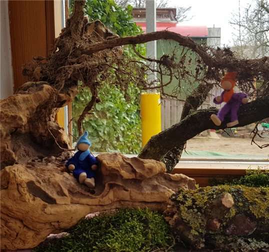 Wurzel-Wichtel im Kindergarten.Foto: Fariba Aslangir