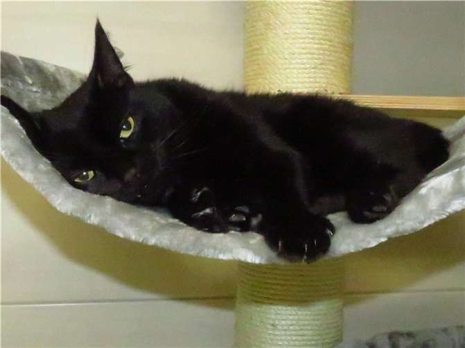 Xenon. Fotos: privat