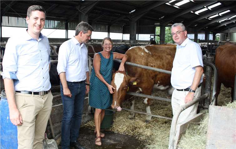Yannick Pape, Landtagskandidat und Bürgermeister von Westerburg, Christian Baldauf, Annette Aller und Dr. Andreas Nick, MdB, mit freundlichem Rindvieh. Fotos: privat