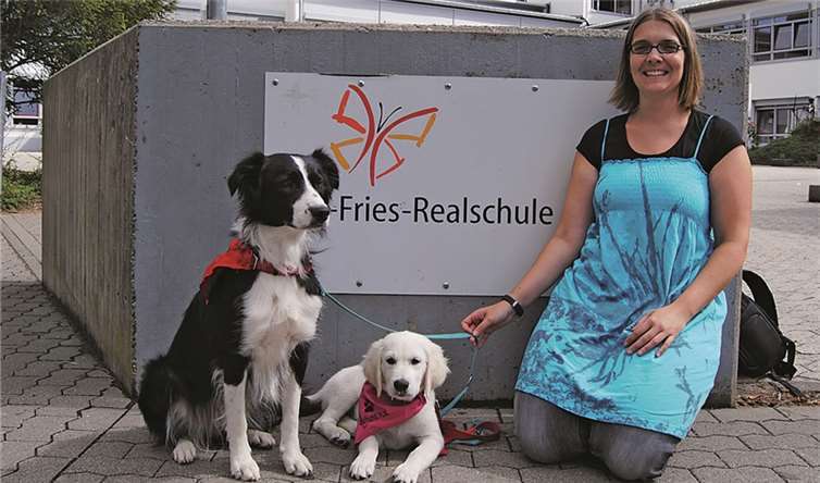 Ylvi, ein 13 Wochen alter Golden Retrieverwelpe, hat seinen Dienst als Schulhund aufgenommen. Gemeinsam mit Schulhündin Caya und Frauchen Yvonne Becker geht es alsbald in die schuleigene Hunde-AG. privat