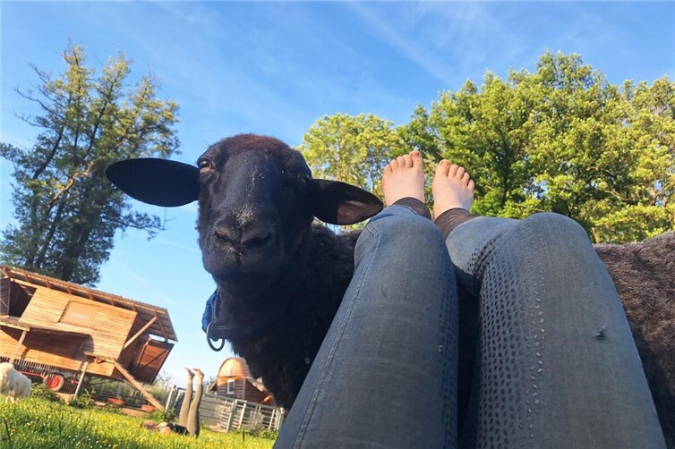 Yoga-Retreat am Schwanenteich