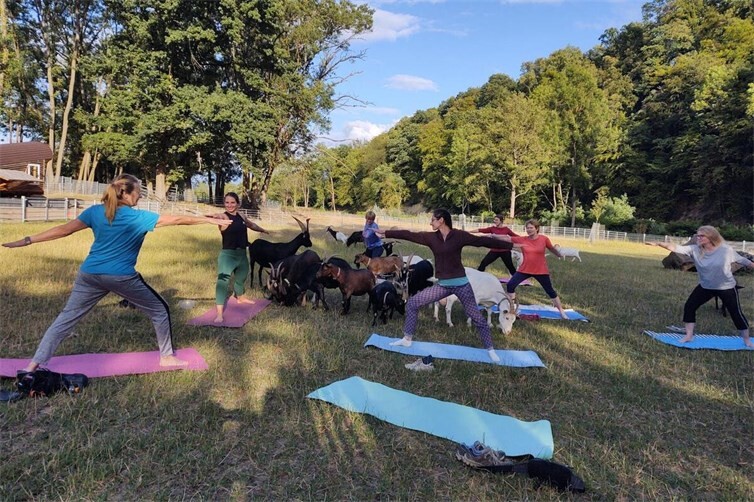 Yoga am Schwanenteich in einer ganz besonderen Atmosphäre.