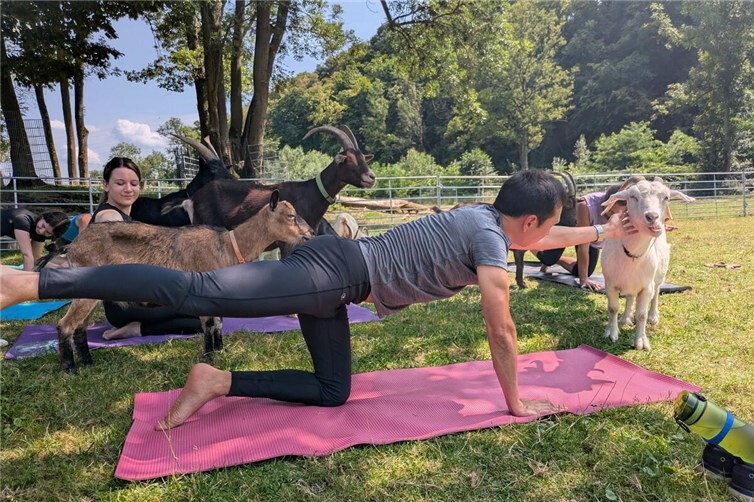 Yoga auf dem Schwanenteichgelände.