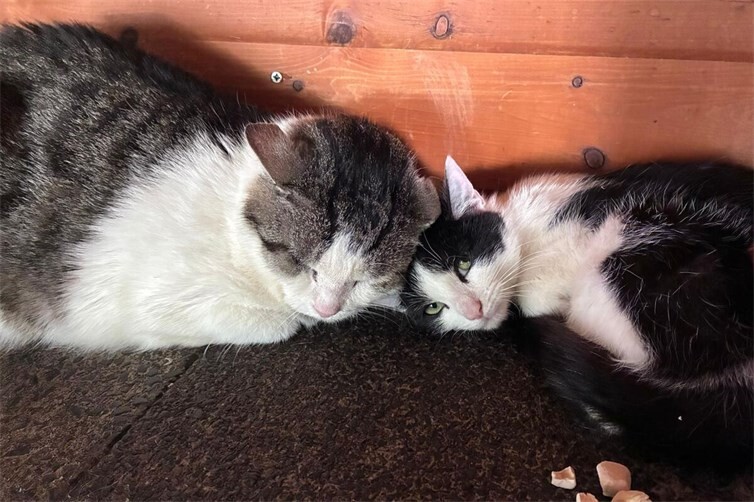 Yuna (rechts) mit Freund Sandro