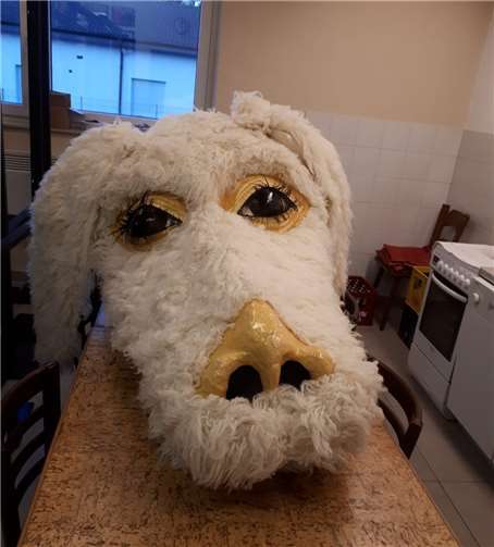 Zahlreiche Exponate werden bei der Karnevals-Ausstellung zu sehen sein.Foto: KVN