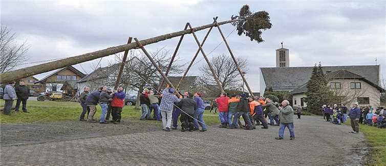 Zahlreiche Helfer stellten innerhalb kürzester Zeit den stattlichen Kirmesbaum auf.  privat