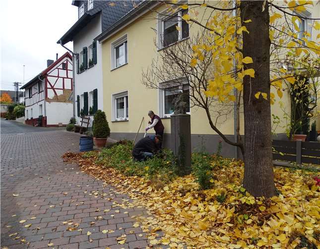 Zahlreiche Löhndorfer Beete wurden wieder hergerichtet.