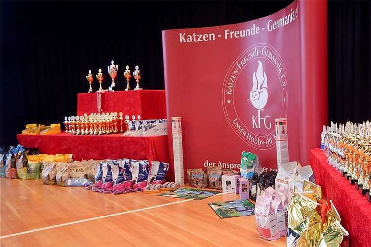Zahlreiche Preise und Pokale standen für die Sieger bereit.