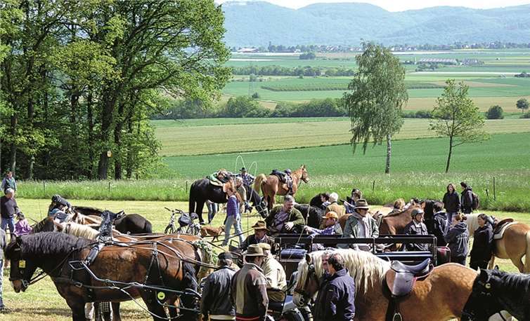 Zahlreiche Reiter mit ihren Pferden werden an Christi Himmelfahrt zum Wachtberg-Denkmal kommen. Archiv