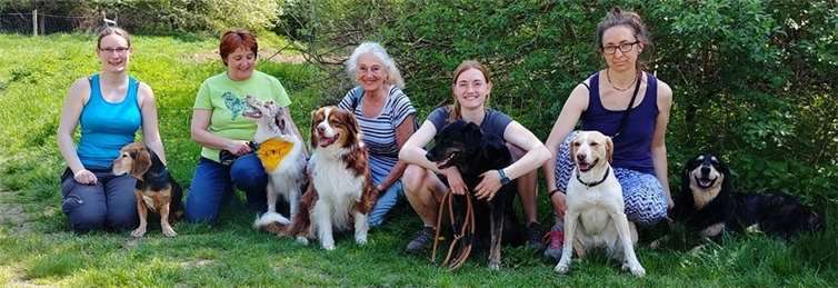 Zahlreiche Teilnehmer waren für den HSV-Ahrtal unterwegs: (v. l.) Esther Prodöhl mit Merlin, Heike Seidel mit Thordis, Inge Cremer mit Mylo, Lorena Bargel mit Barni und Marina Swat mit Jette und Aenna. privat