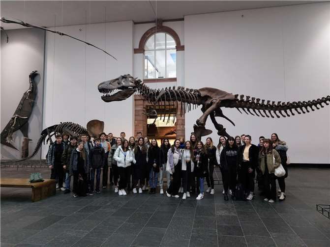 Zahlreiche Verknüpfungen konnten hergestellt und das Wissen aus dem Biologieunterricht angewandt werden.  Foto: IGS Maifeld