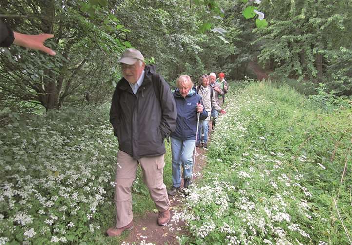 Zahlreiche Wälder und Ebenen wurden durchquert.