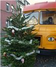 Zahlreiche Weihnachtsbäume und auch ein geschmückter Weihnachts-Truck vielen ins...