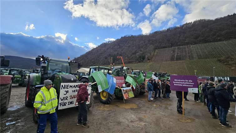 „Tierschutz ist mit dem Wolf nicht machbar“ Zahlreiche Winzer und Landwirte waren mit ihren Traktoren gekommen.